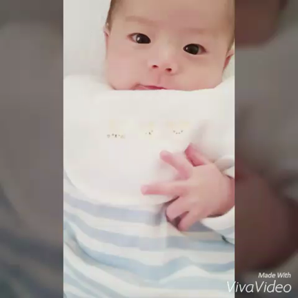 ＊ミニ動画でござる♪の記事動画