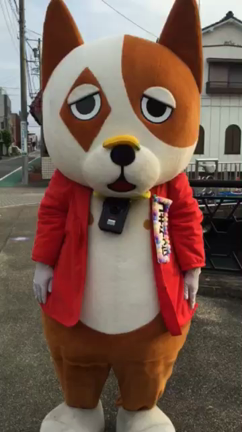 たまには犬らしくの記事動画