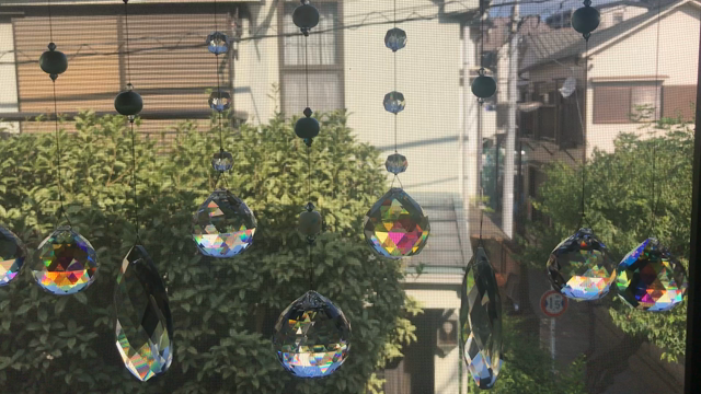 芭蕉のように　風流に！とはいかないか（笑）の記事動画