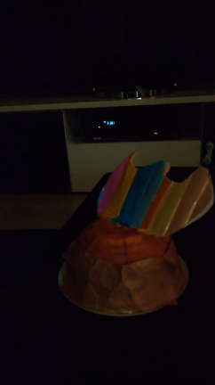 焚き火・・・なの？の記事動画