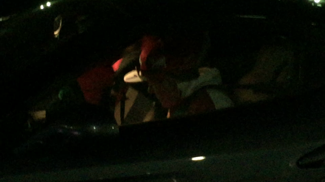 2016 F1 SUZUKA  03の記事動画