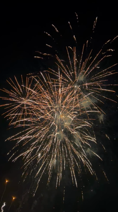 納涼まつり&花火大会の記事動画