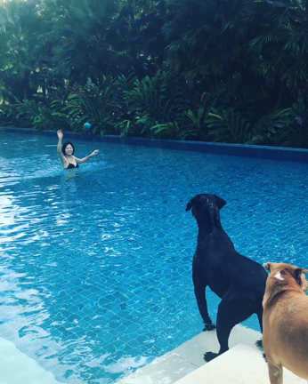 わんこふとプール！の記事動画