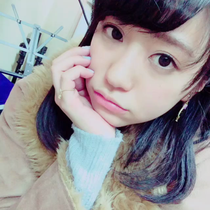 理想と現実の記事動画