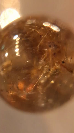 肉の日だ！の記事動画