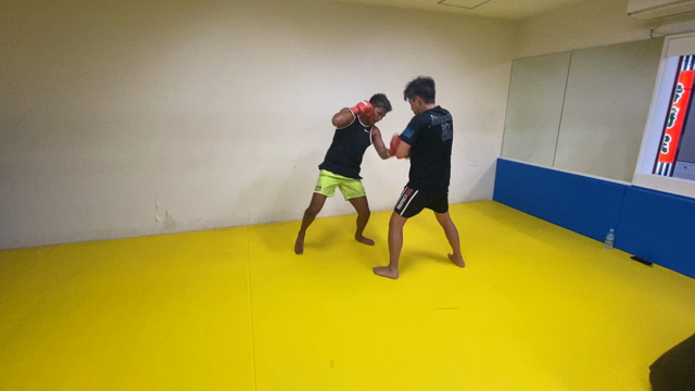 ほんの少しだけの記事動画