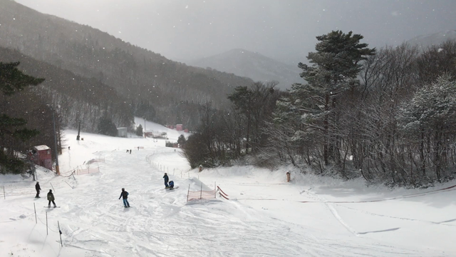 やったー、やったーよー٩( 'ω' )وの記事動画