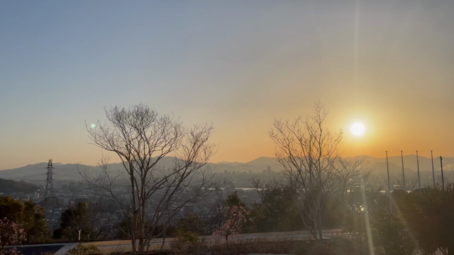 朝散歩と朝陽最高‼︎の記事動画