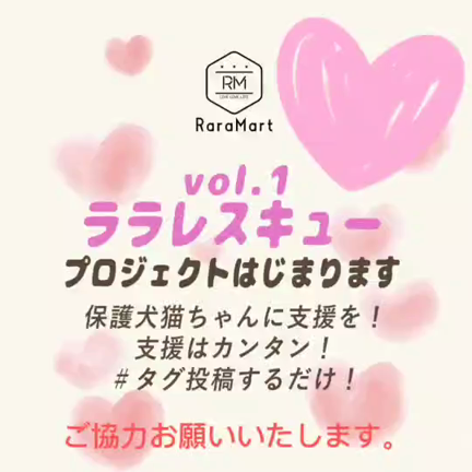 プロジェクト始まります‼️の記事動画