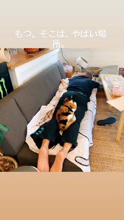 台風中のねこが選ぶ、一番安全な場所。の記事動画