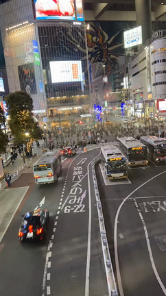 爆速の一年がはじまってしまいました‼︎‼︎の記事動画