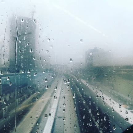 雨のゆりかもめの記事動画