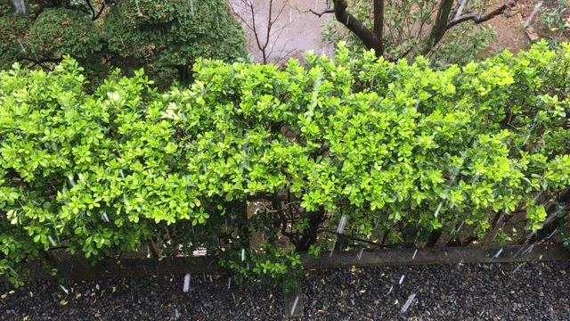 今、心得るべきことの記事動画