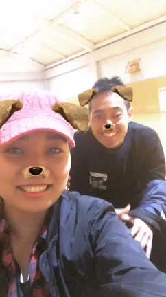 D's proofの記事動画