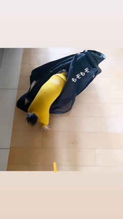 GWもあっという間に過ぎ去ったの記事動画