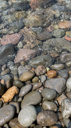 友達のプライベートビーチの記事動画