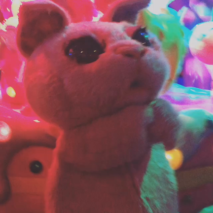 カワイイモンスターDJの記事動画