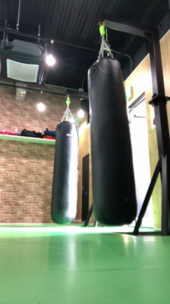 告知の記事動画