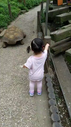 娘の焼きもち　町田リス園にの記事動画