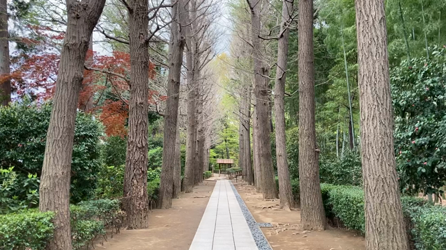 生存率0.02%への挑戦の記事動画