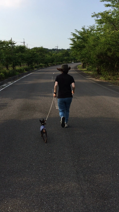 なんでやねんの記事動画