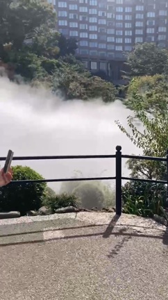 アラフィフ女子のやってみたかったことの記事動画