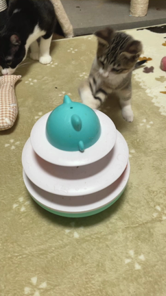 アーニャ病院への記事動画