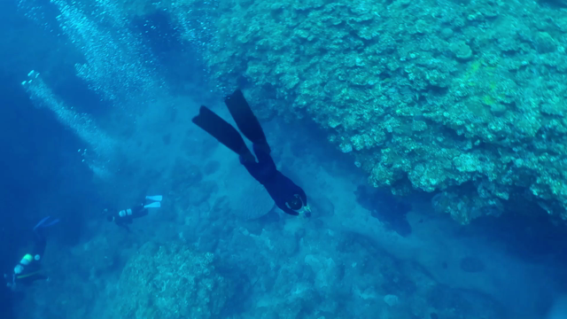 航平さんは何が一番好きなんですか？の記事動画