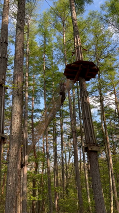 ファッションの記事動画