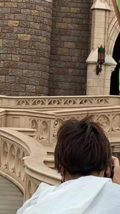 ディズニー再開の記事動画