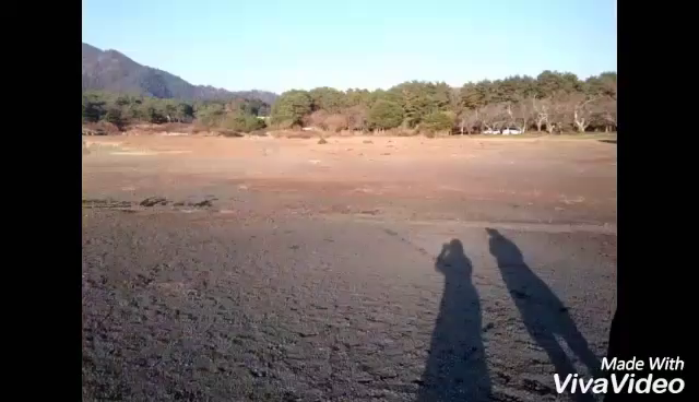 【富士五湖】動画  その①の記事動画