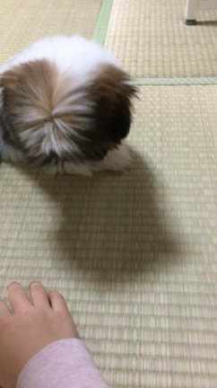 色々と、、、の記事動画