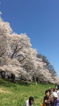 めばえの記事動画