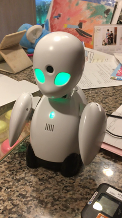 オリヒメくんが来た〜❣️の記事動画