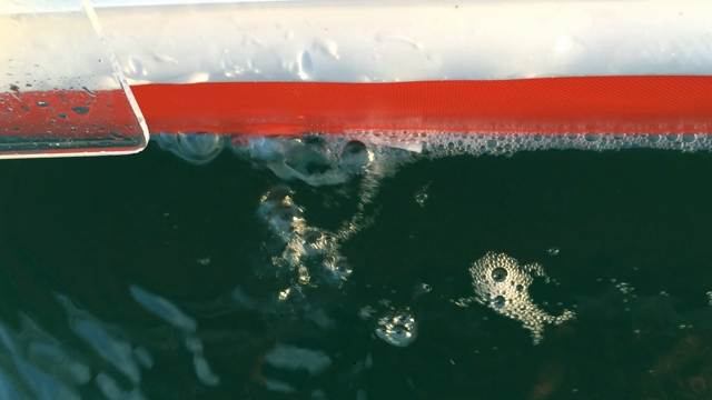 鯛ラバ 2回戦 3回戦の記事動画