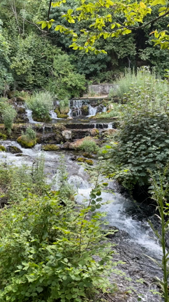 P.D.O.ナウサ  スタディトリップおまけの記事動画