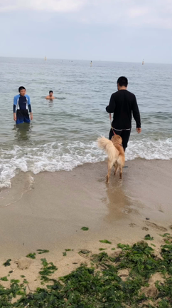 今年の総決算②の記事動画