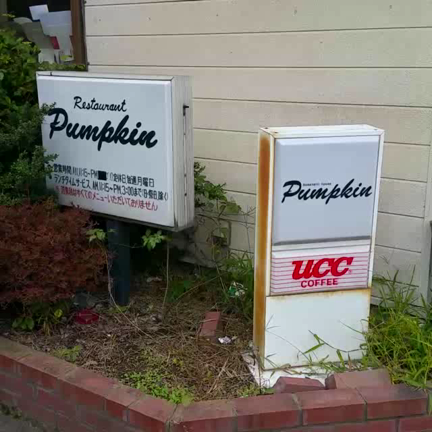 群馬デカ盛りツアー★パンプキンの記事動画