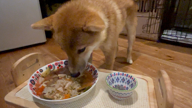 飛び魚ソテー＆高野豆腐ハンバーグ・犬の手作り薬膳ご飯販売メニューの記事動画