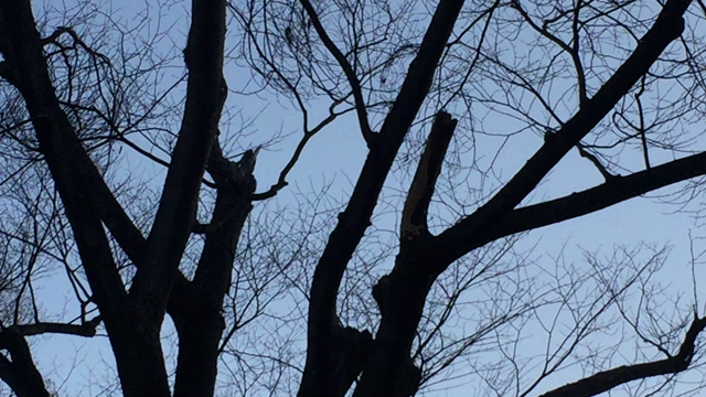 不安や心配のエネルギーよりも、愛のエネルギーを出したいです♡の記事動画