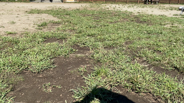 ワンダフルネイチャービレッジの記事動画