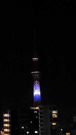 スカイツリー♪花火の特別ライティング♪の記事動画