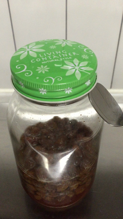 天然酵母でナポリピッツァの記事動画