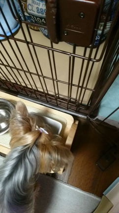 やっと北海道らしい夏の記事動画