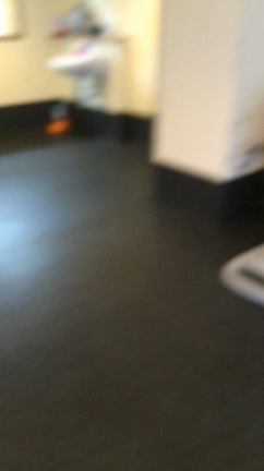 帰国andこむぎと再会していますの記事動画