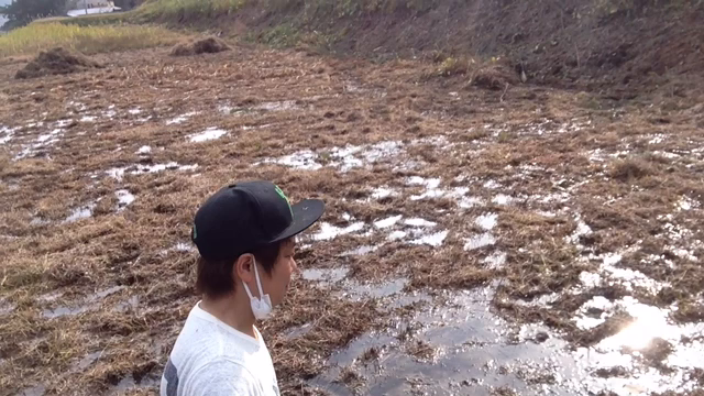 能勢通信の記事動画