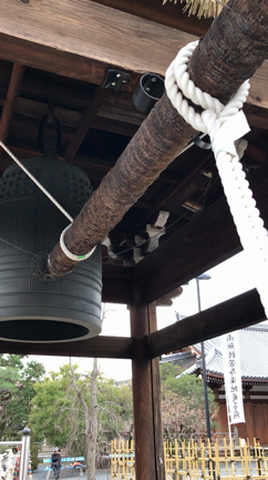 魂を磨く事が出来るのは悲しみや辛さを経験した時の記事動画