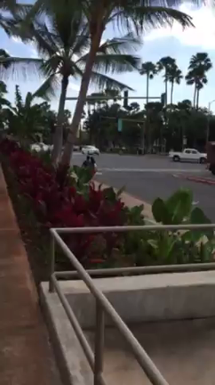 ☆動画に一言を添えてPart１☆の記事動画