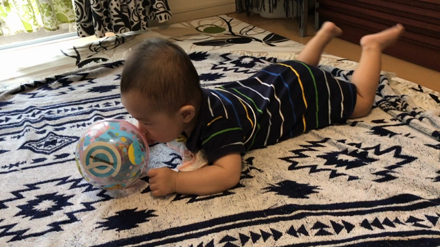 お座りの記事動画