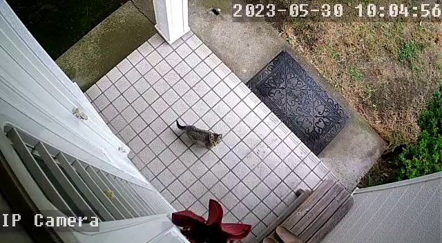 そんなに、居心地が良いのか？の記事動画